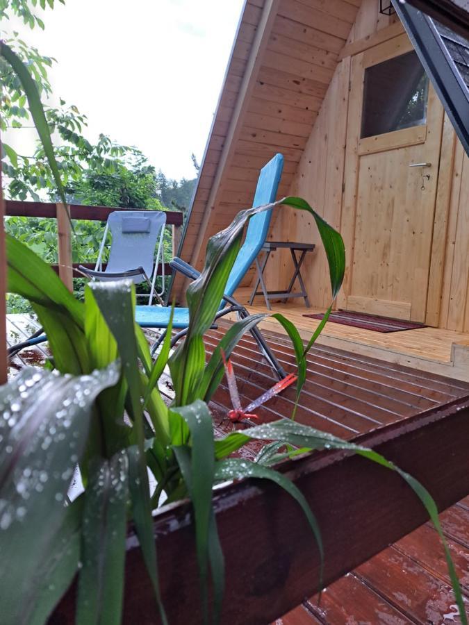 Luxury tent Ozy's Place