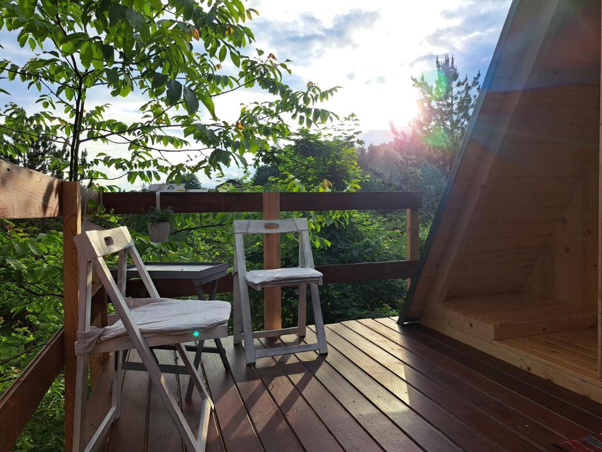 Ozy's Place Kamnik
