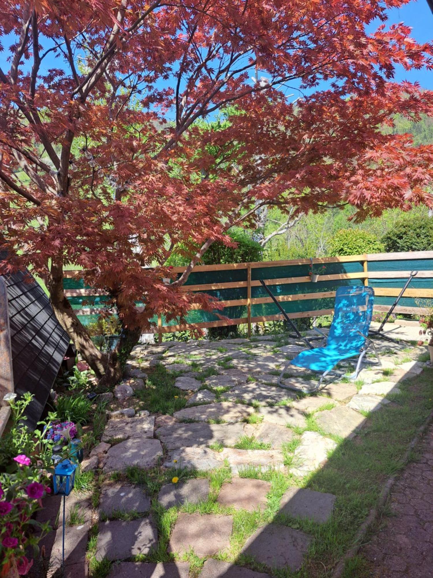 Ozy's Place Tente de luxe